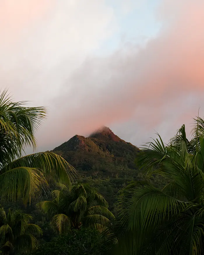 tropical mountain during sunset